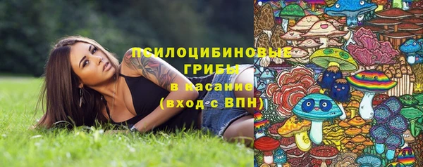 mix Сосновый Бор