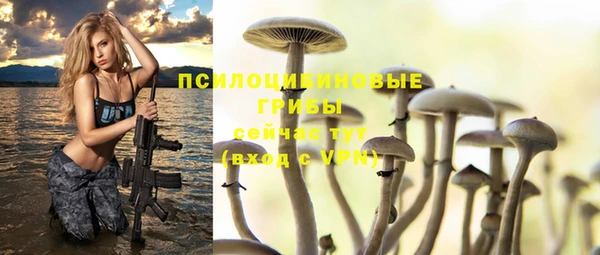 мескалин Сосновка