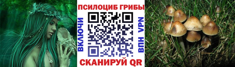 Купить где  Ельня  Псилоцибиновые грибы мухоморы 